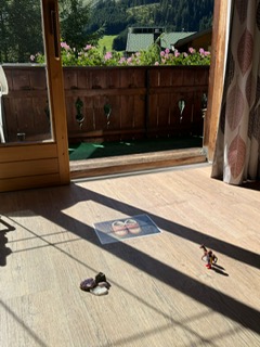 Opstelling op afstand